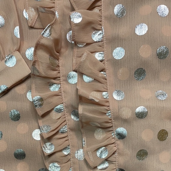 Mauve/Silver Sheer Long Sleeve Polka Dot Neck Tie Blouse - Picture 15 of 15